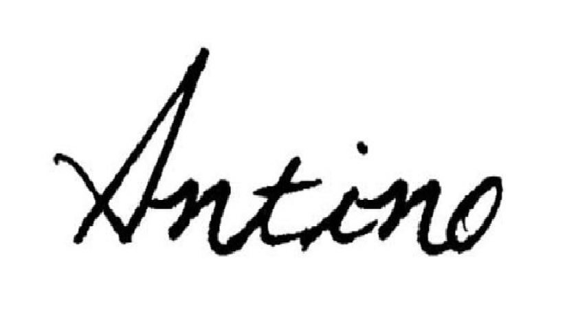 antino-logo.jpg